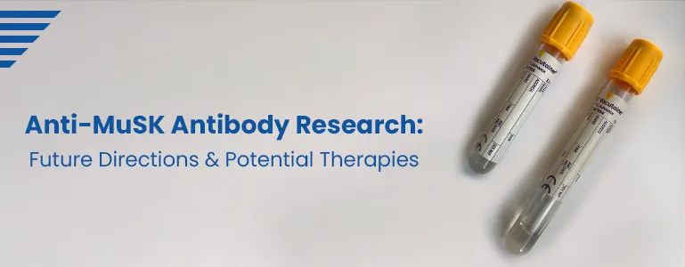 Anti-MuSK Antibody Research: Future Directions and Potential Therapies