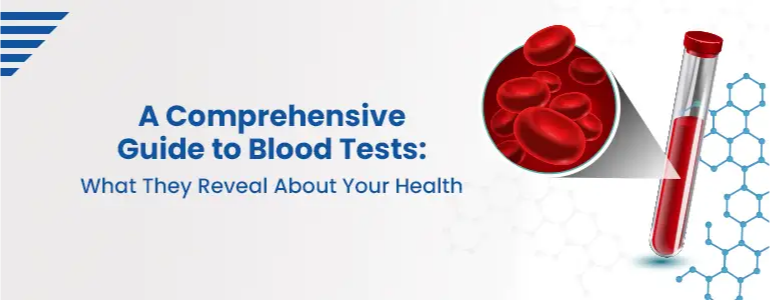 A Comprehensive Guide to Blood Tests: What They Reveal About Your Health