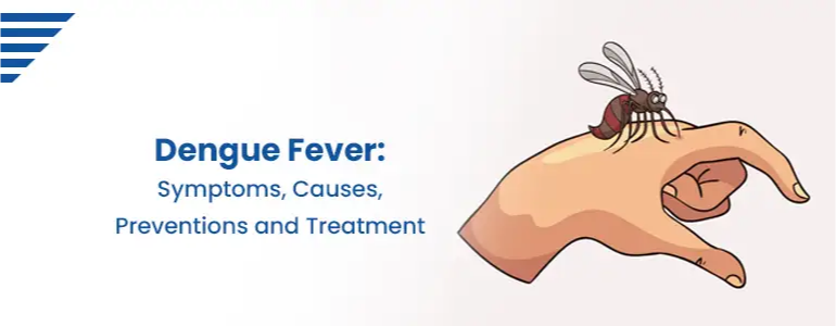 Dengue Fever Symptoms, Causes, Preventions and Treatment