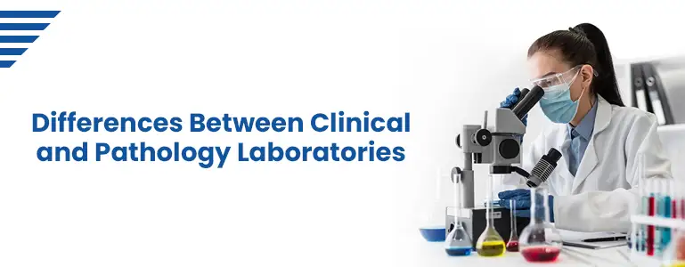 differences-between-clinical-and-pathology-laboratories