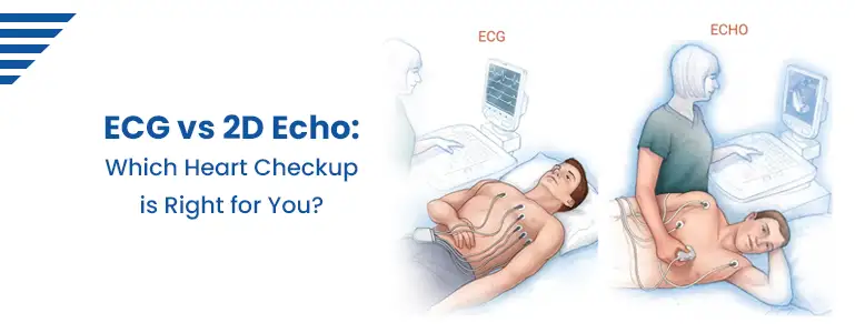 ECG vs 2D Echo: Which Heart Checkup is Right for You?