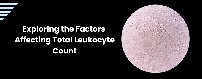 Exploring the Factors Affecting Total Leukocyte Count