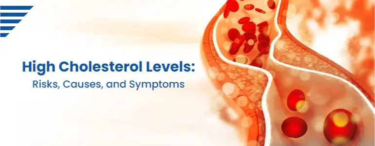 Risks, Causes, and Symptoms of High Cholesterol Levels