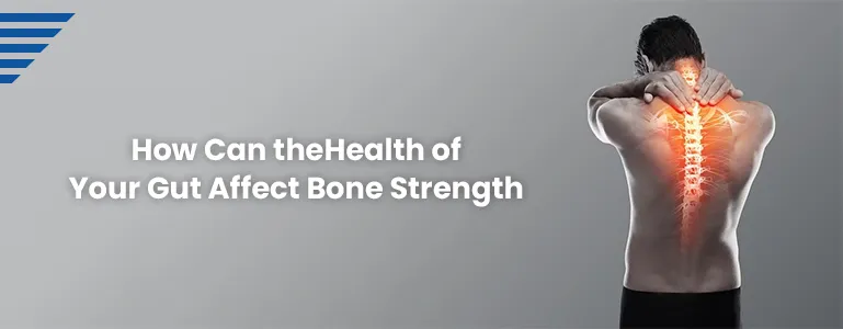 >How Can the Health of Your Gut Affect Bone Strength