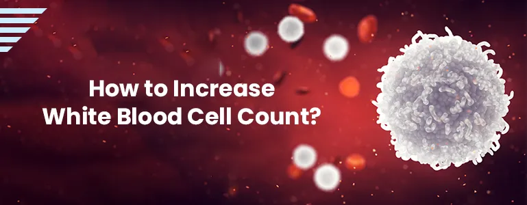 >How to Increase White Blood Cell Count?