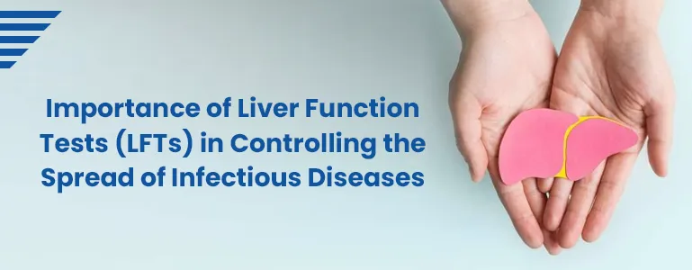 Importance of Liver Function Tests (LFTs) in Controlling the Spread of Infectious Diseases