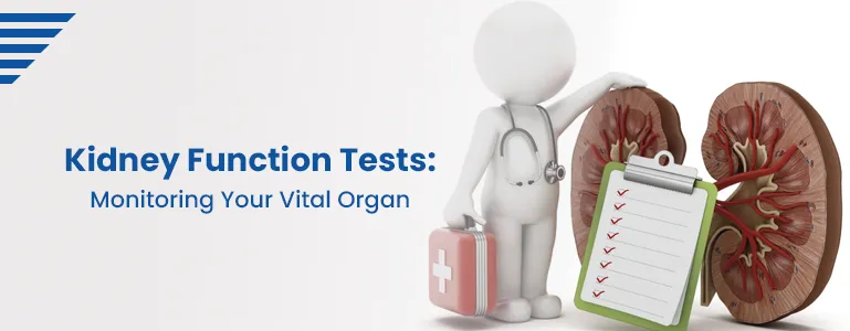 kidney-function-tests