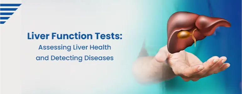 Liver Function Tests: Assessing Liver Health and Detecting Diseases