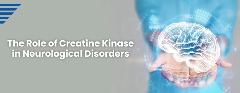 >The Role of Creatine Kinase in Neurological Disorders