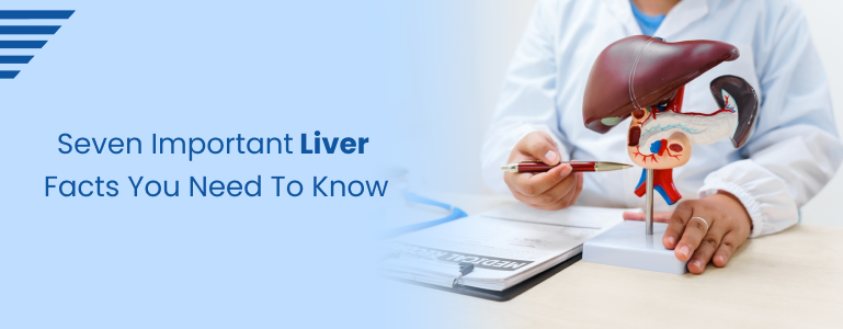 Seven Important Liver Facts You Need To Know