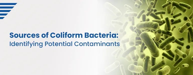 Sources of Coliform Bacteria: Identifying Potential Contaminants