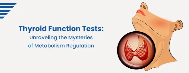 Thyroid Function Tests: Unraveling the Mysteries of Metabolism Regulation