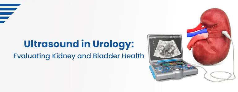 Ultrasound in Urology: Evaluating Kidney and Bladder Health