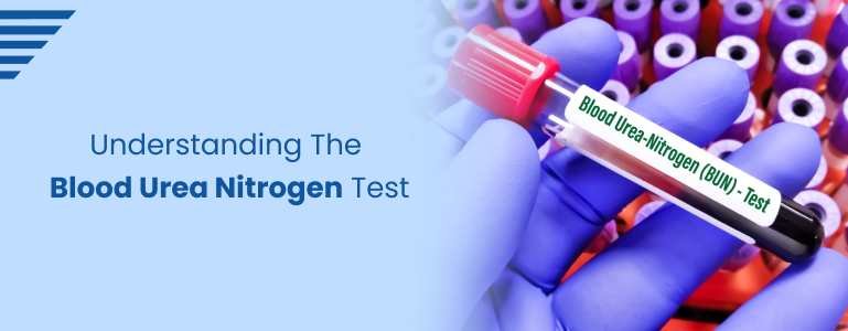 Understanding the Blood Urea Nitrogen (BUN) Test