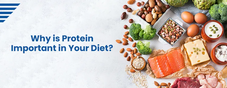 why-is-protein-important-in-diet