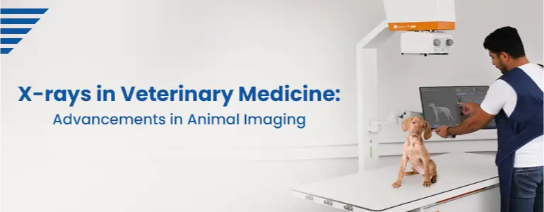 X-rays in Veterinary Medicine: Advancements in Animal Imaging