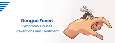 Dengue Fever Symptoms, Causes, Preventions and Treatment