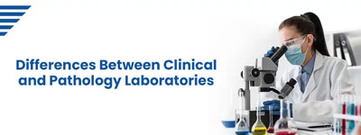 Differences Between Clinical and Pathology Laboratories