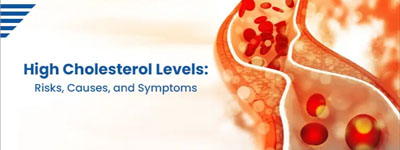 Risks, Causes, and Symptoms of High Cholesterol Levels