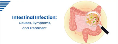 Intestinal Infection - Causes, Symptoms, and Treatment