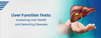 Liver Function Tests: Assessing Liver Health and Detecting Diseases