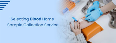 Choosing the Right Provider for Blood Sample Collection at Home