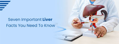 Seven Important Liver Facts You Need To Know