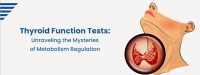 Thyroid Function Tests: Unraveling the Mysteries of Metabolism Regulation